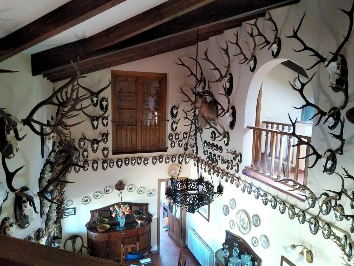 La Cirujana De Gredos San Esteban Del Valle Exterior foto